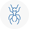 Ant Removals In Worksop