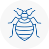 Bed Bug Extermination In Worksop