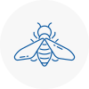Bee Nest Removal Worksop