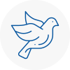 Bird Prevention Worksop