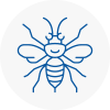 Worksop Hornet Nest Removals