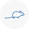 Mice Exterminators In Worksop