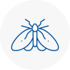 Moth Control Specialists In Worksop