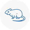 Rat Control Worksop