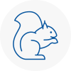 Worksop Rodent Removals